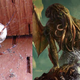 Illustration for article titled 30 Real Animals with Science Fiction Names